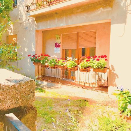Gallura Experiences Li Criasgi Aggius Buitenkant foto