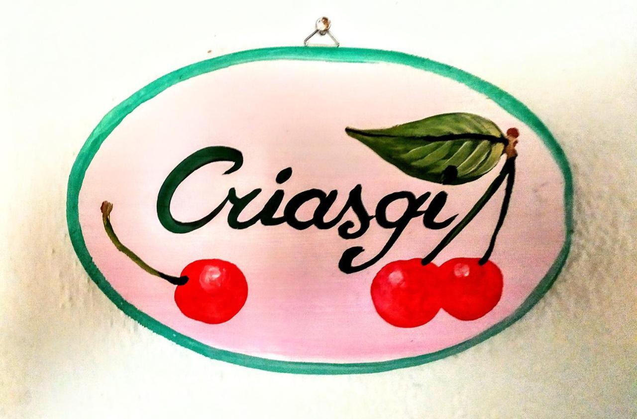 Gallura Experiences Li Criasgi Aggius Buitenkant foto